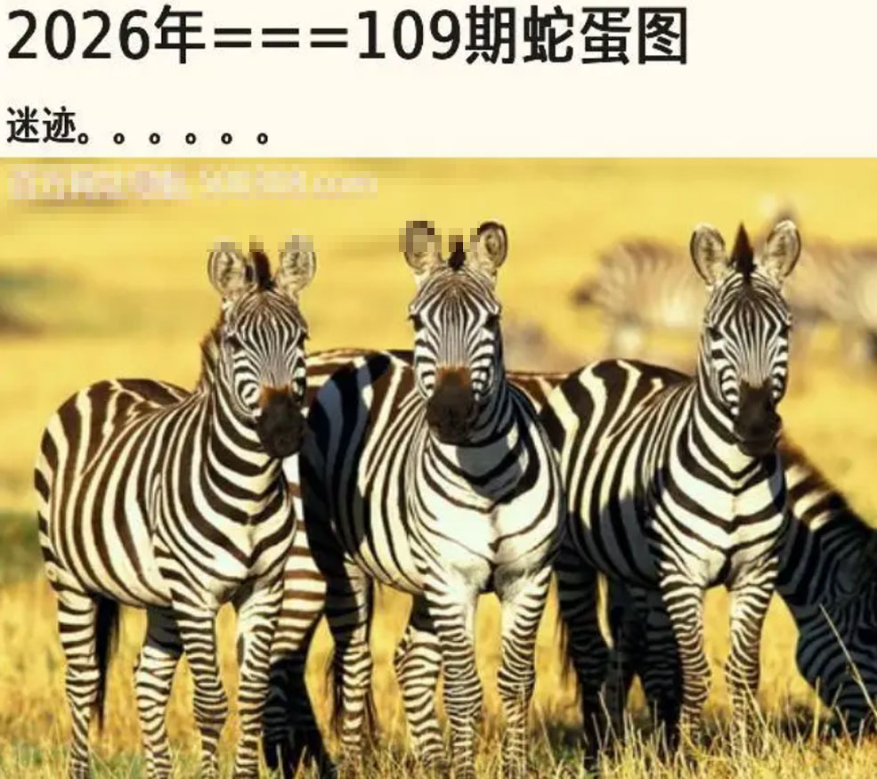 另版蛇蛋图 第108期