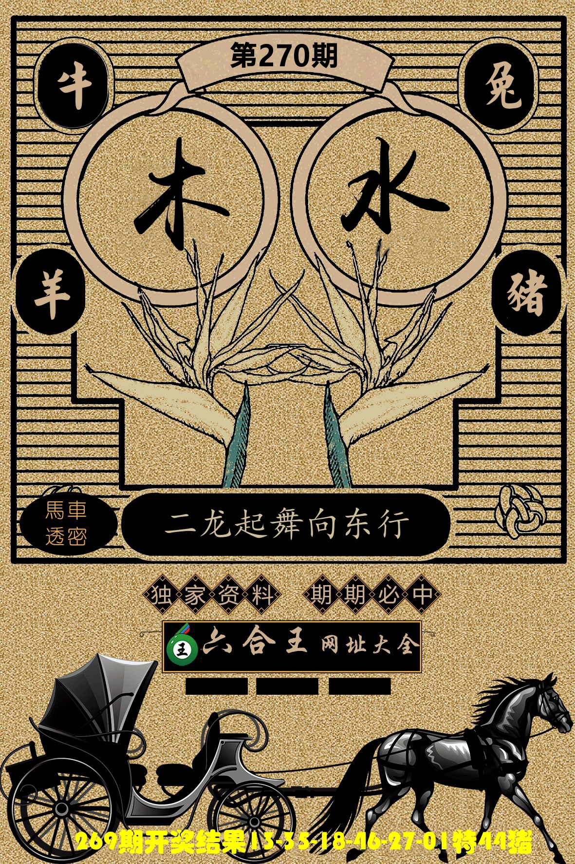 六合王马车透密 第270期