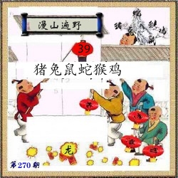 挂牌系列12 第270期