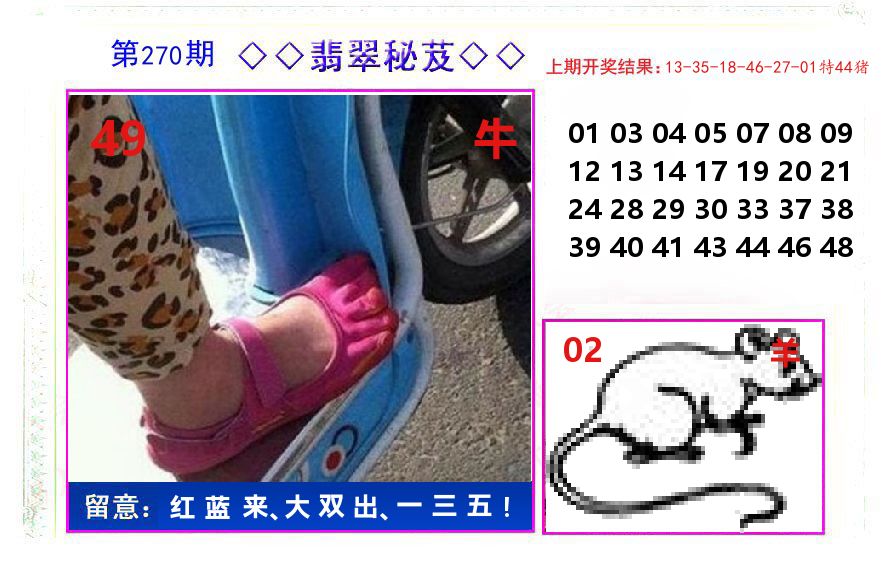 翡翠秘芨 第270期