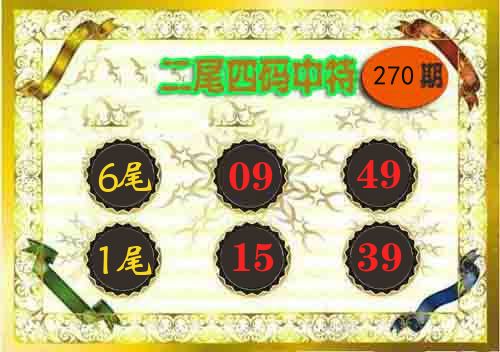 二尾四码中特 第270期