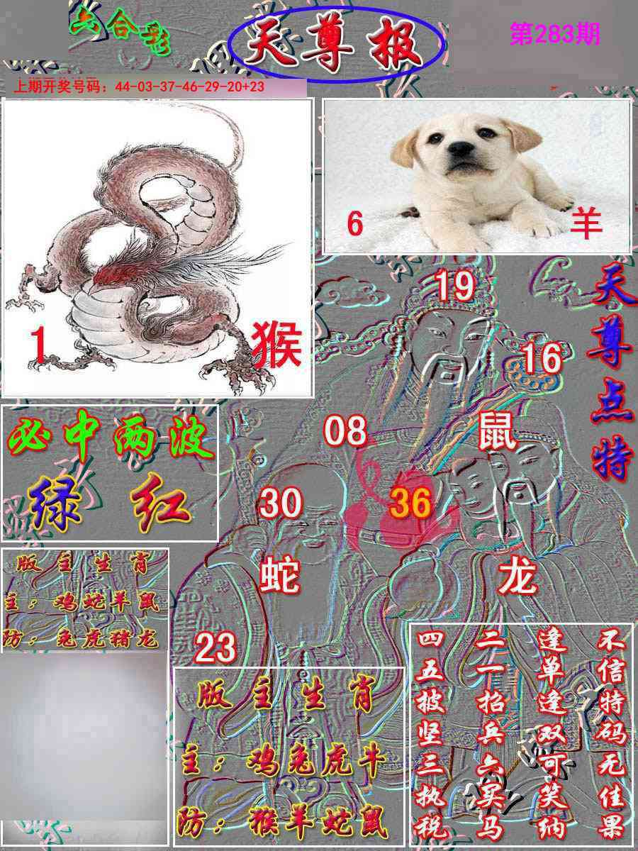天尊报 第283期
