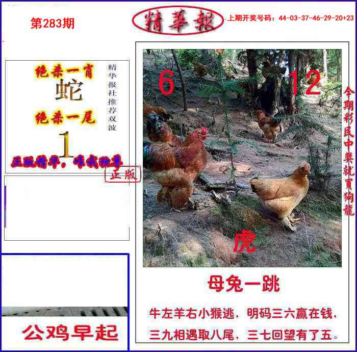 新精华报报 第283期