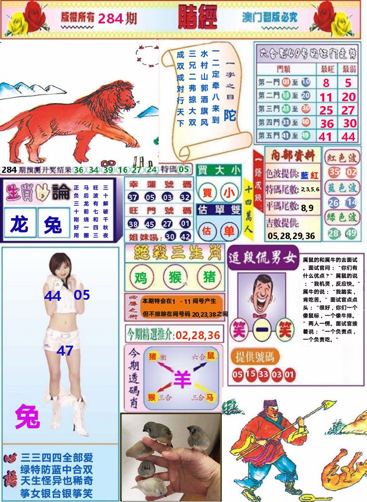 澳门赌经 第284期