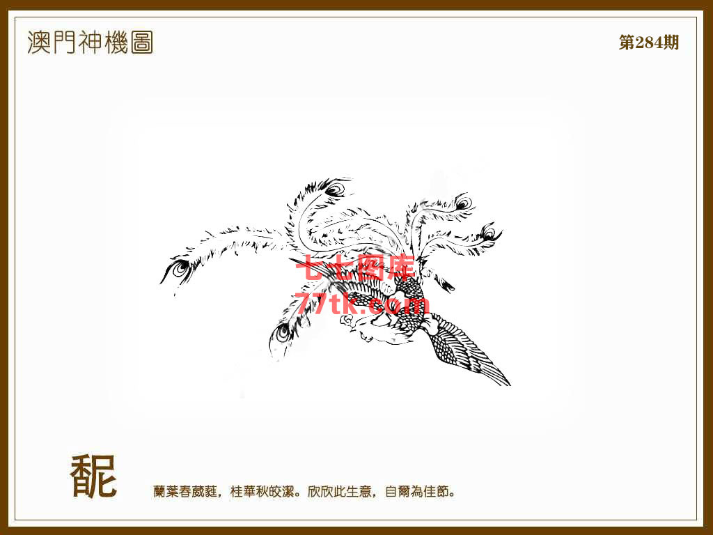 神机图 第284期