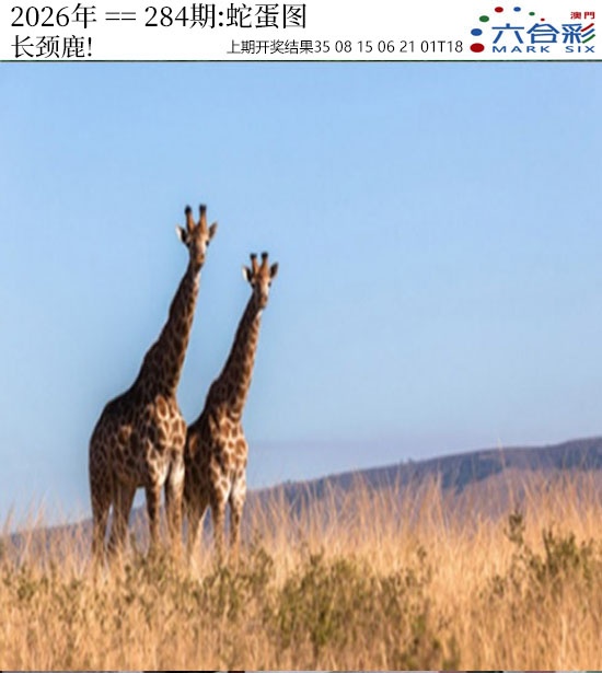 正版蛇蛋图 第284期
