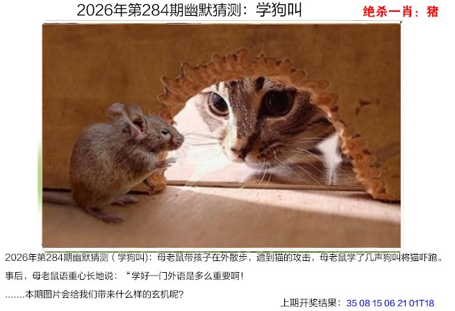 幽默猜测 第284期