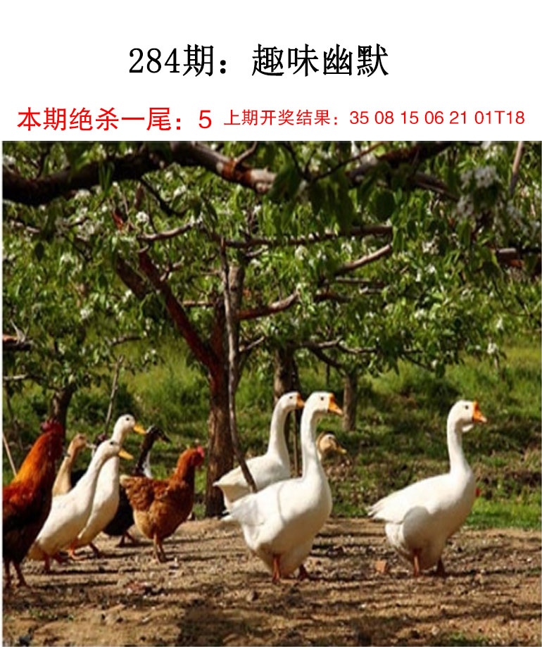 趣味幽默 第284期