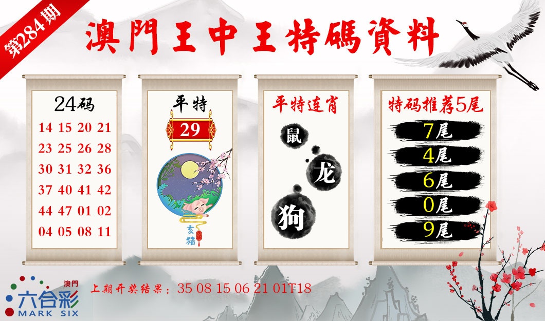 王中王特码料 第284期