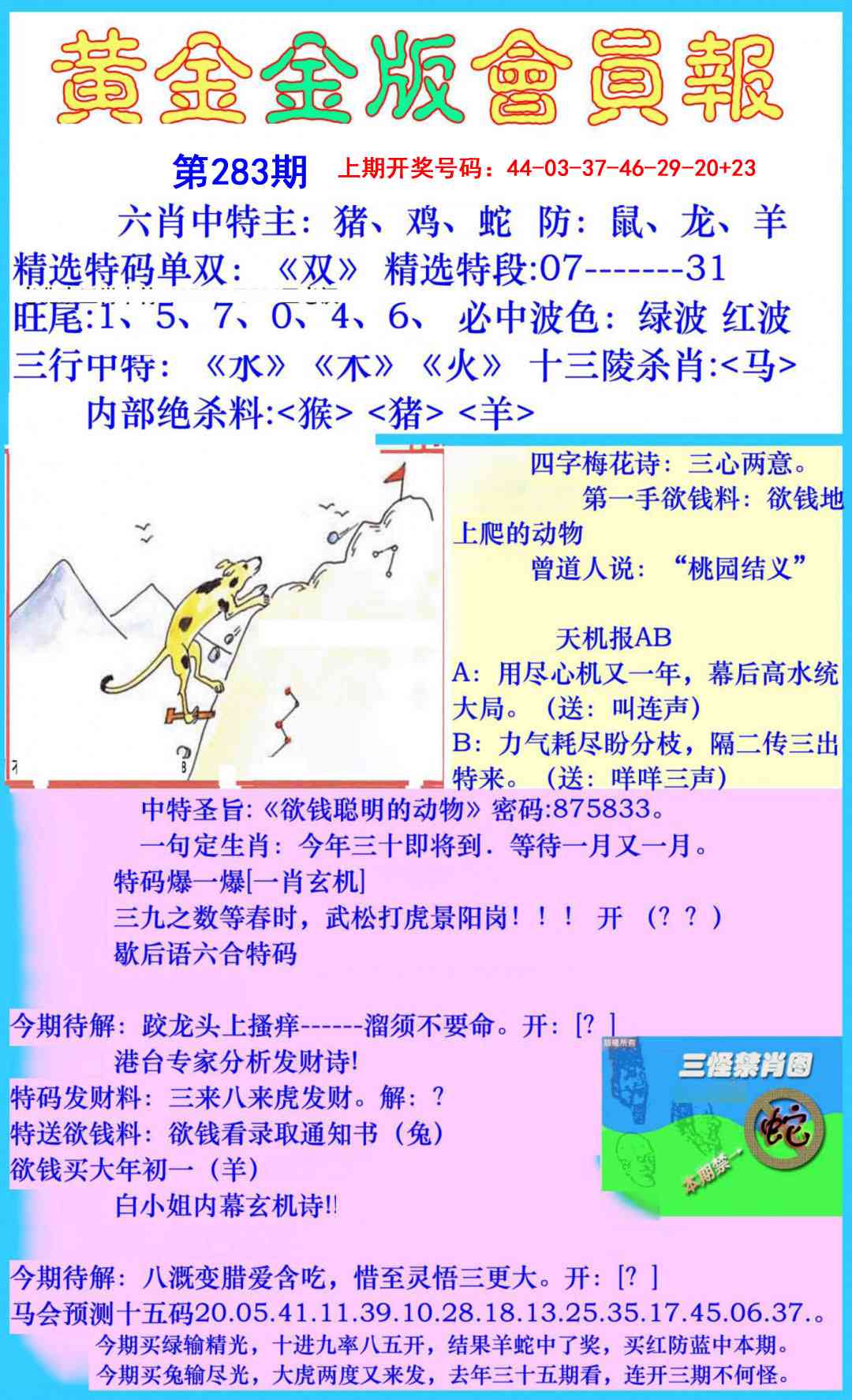 黄金金版会员报 第283期