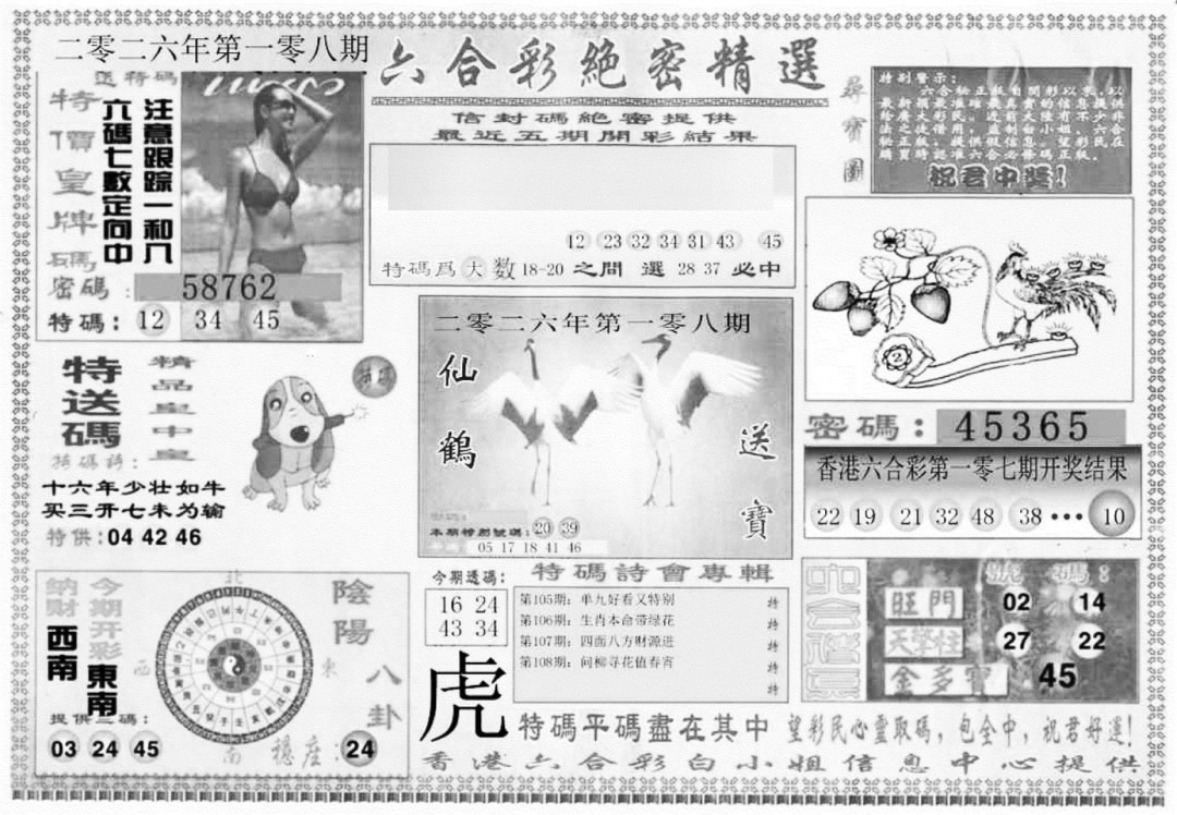 白姐绝密精选A 第108期