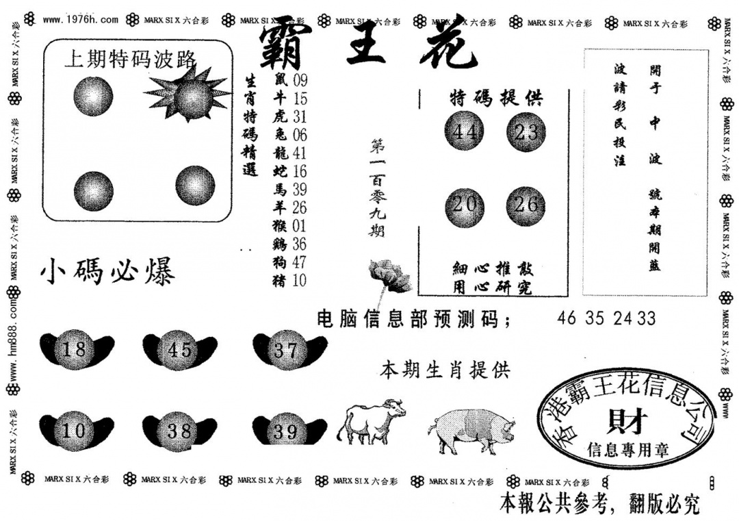 霸王花 第109期