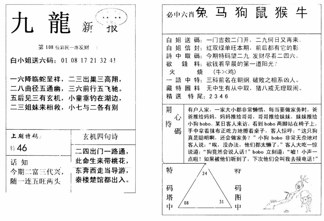九龙新报(新) 第108期