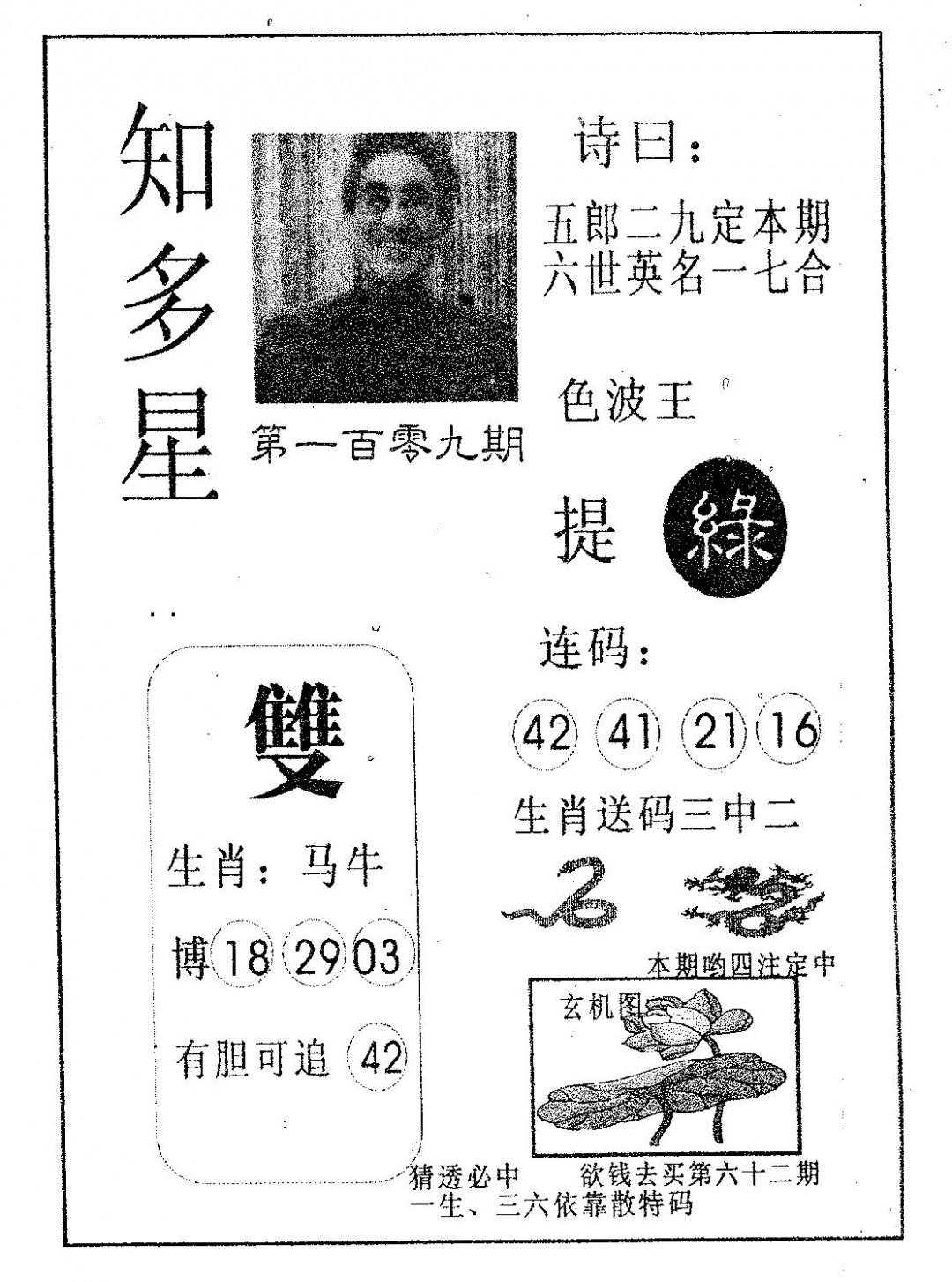 知多星 第109期