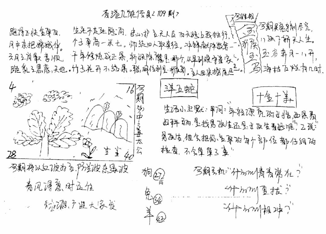 手写九龙内幕B 第109期